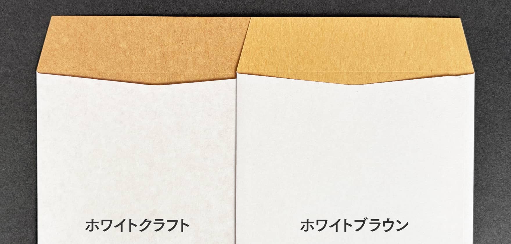 ホワイトクラフト比較