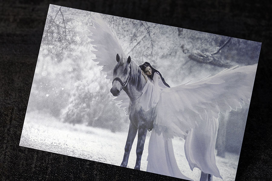 プリンパ印刷実例のイメージ画像2