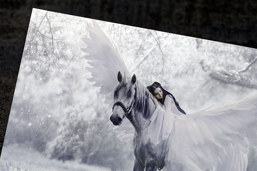 プリンパ印刷実例のイメージ画像3