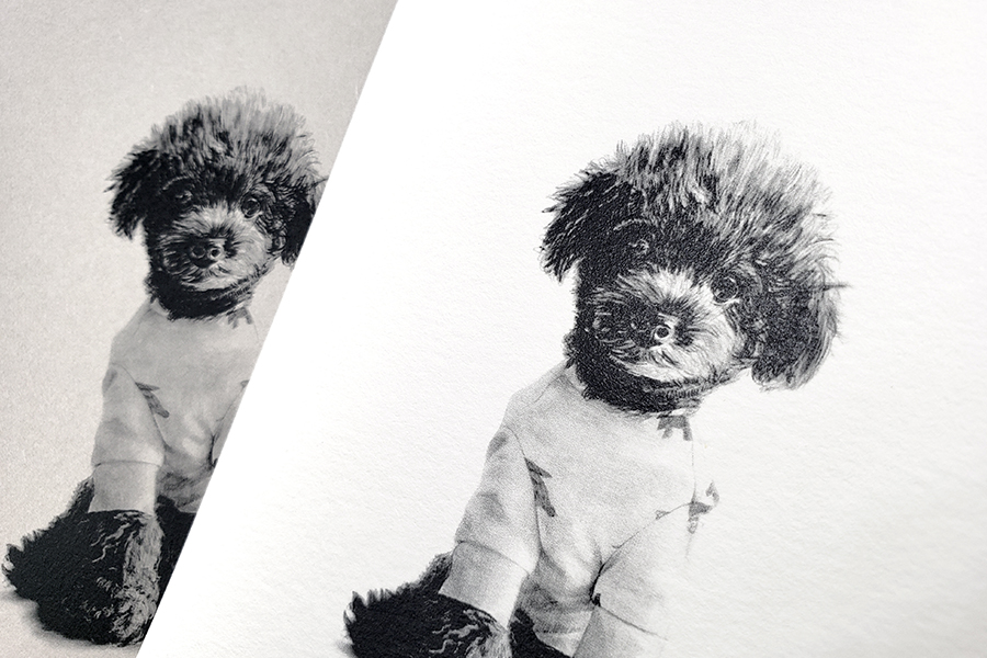 実例No.176のイメージ画像2