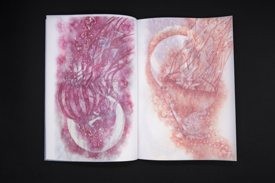 実例No.221のイメージ画像3