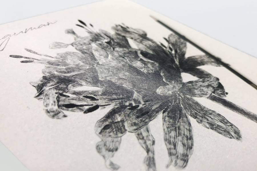 実例No.251のイメージ画像3