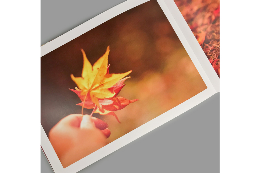 実例No.293のイメージ画像3