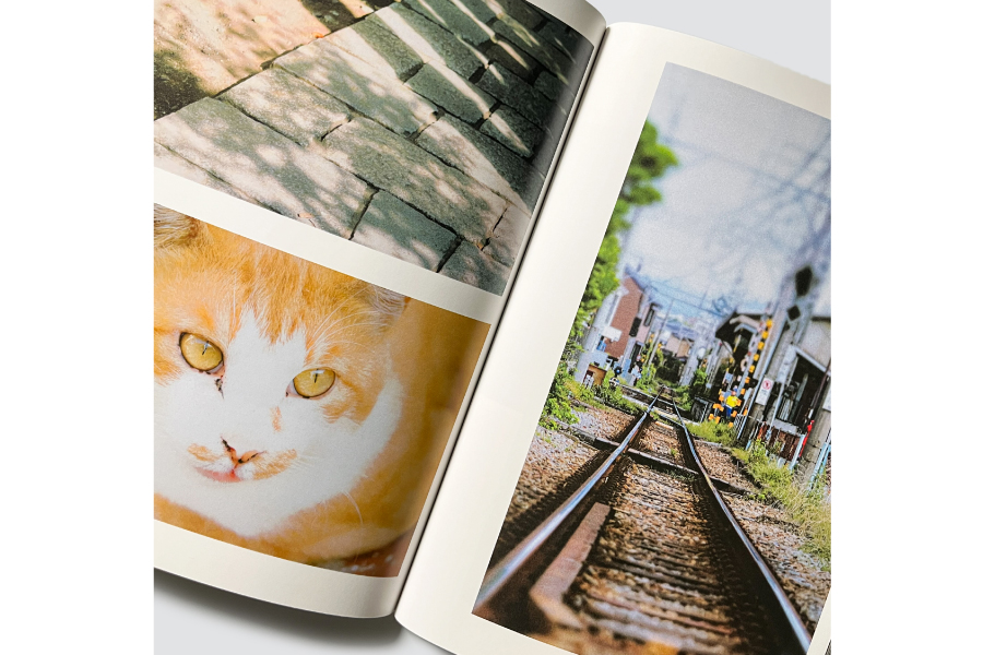 実例No.347のイメージ画像3