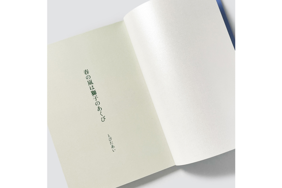 実例No.365のイメージ画像2