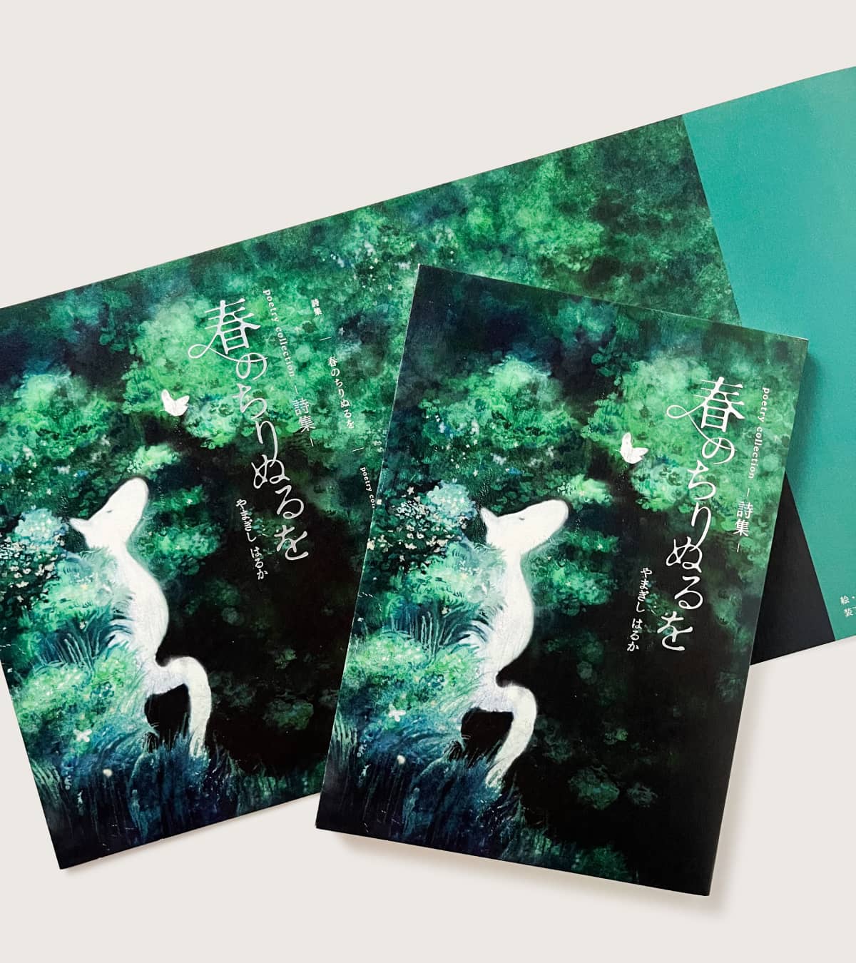 実例No.449のイメージ画像4